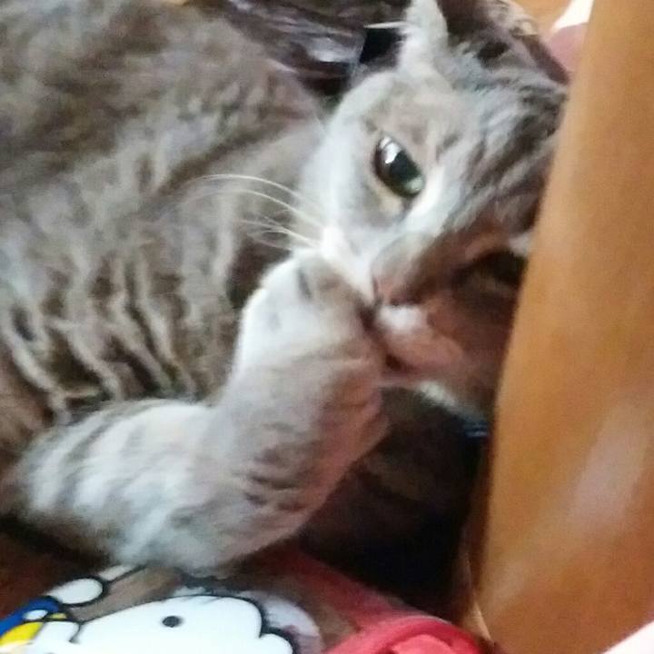 Da305ffb 40d4 4dea 977c d8b8d38cba54 1564806528852