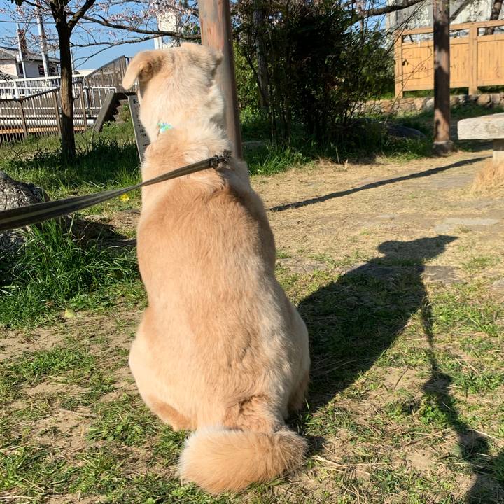 Da307ac9 bc05 4e88 af56 1b66fb2837b4 1554382643602