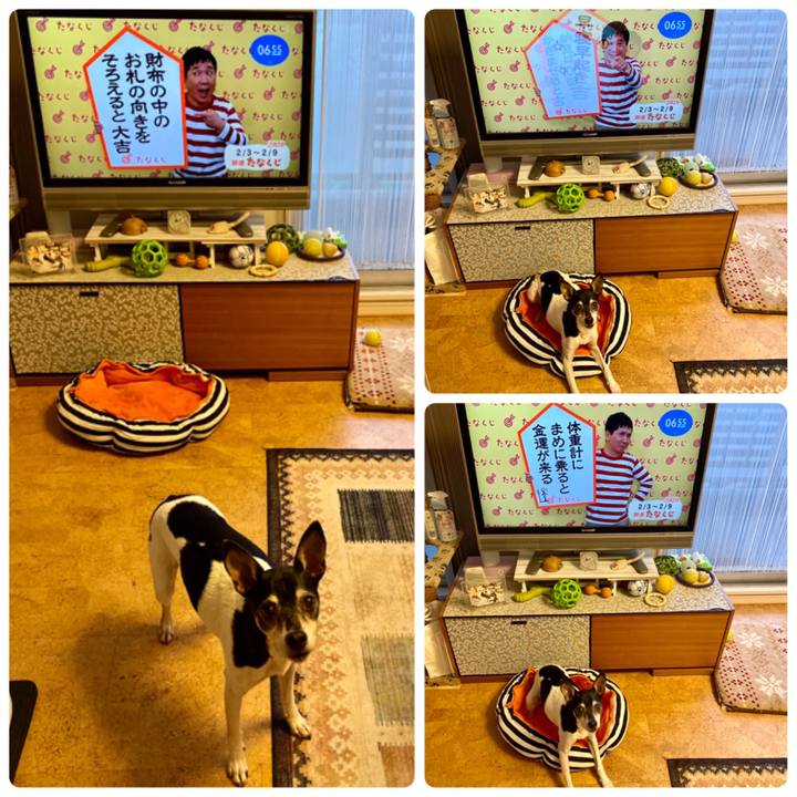 Da308893 b292 46ff aa19 05b83b5ca5f1 1580681982728