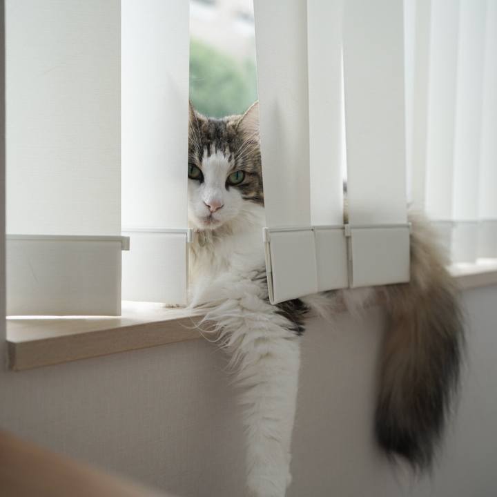 Da30ae92 dcdb 401b ad36 430a907e4ff0 1601169435428