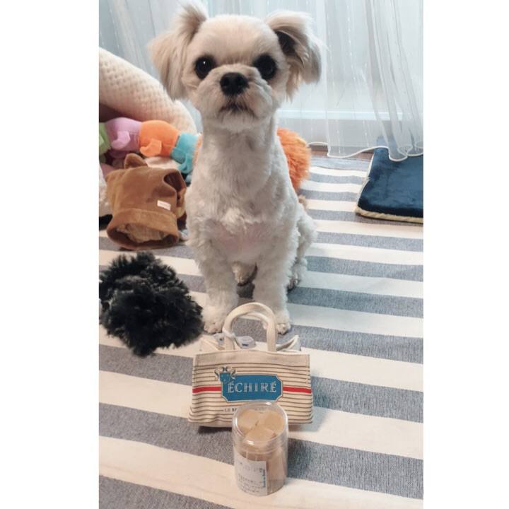 Da312470 9705 4191 9586 316068036077 1520508477334