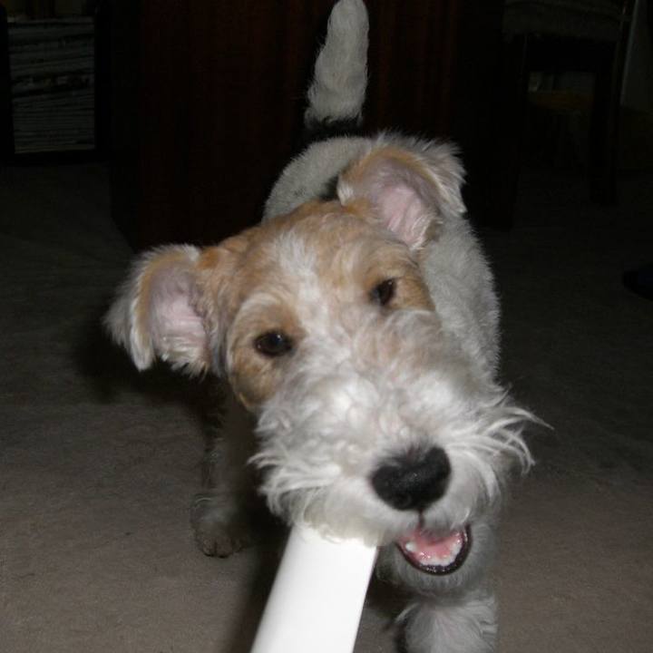 Da31361c d620 4fc1 9910 3e36f409cfb7 1572841209743