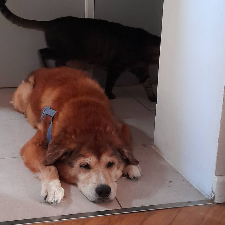 Da314bc9 7d89 49a5 bb25 9f6e879b1708 1765679130122