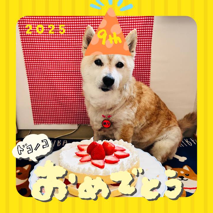 Da31d2e8 e6bf 49f9 9147 e4f00665c181 1749172893309