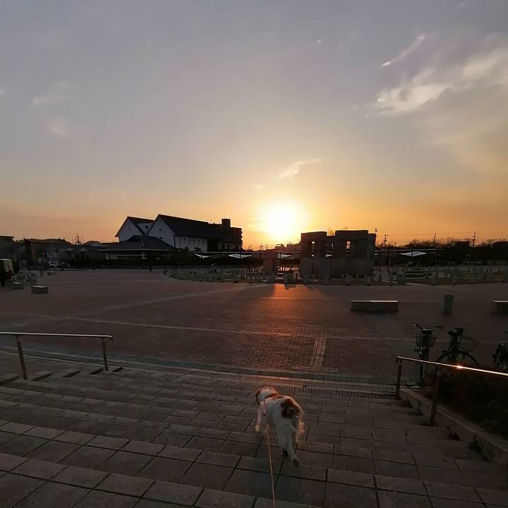 Da31f863 a79e 4931 87ae dd64b83d65fa 1613129396494