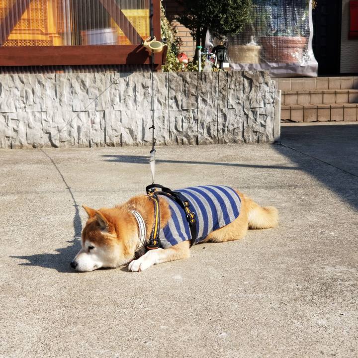 Da322389 96f7 4cd9 be30 0b3d8593a7cf 1613798128352