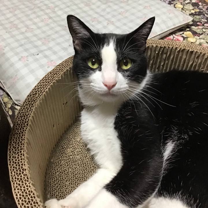 Da323e39 bb52 4d86 ac08 674baff51be3 1719828705339