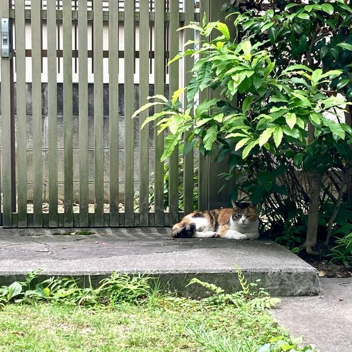 Da324e9b dfa7 4287 aaf2 f4c55ad0495a 1687608435405