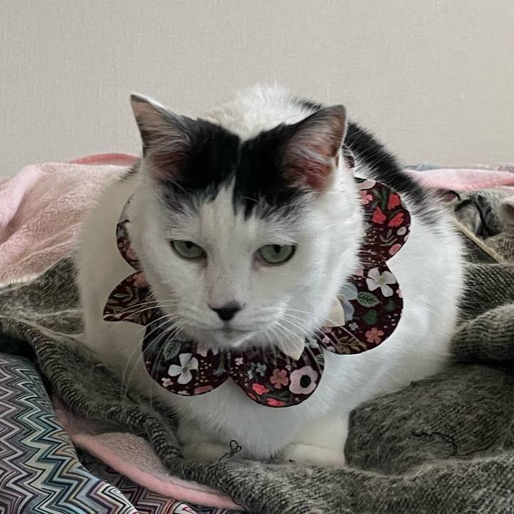 Da325ce9 850b 47fd a0ce 244735517b6e 1677540919001