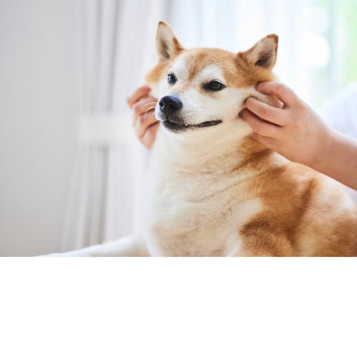 Da32917f 1664 454e b65f bb5ada874390 1688346989086