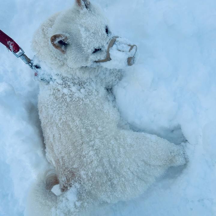 Da32bd4d 318c 4481 8eaa 73ddbb3626e6 1708642638821