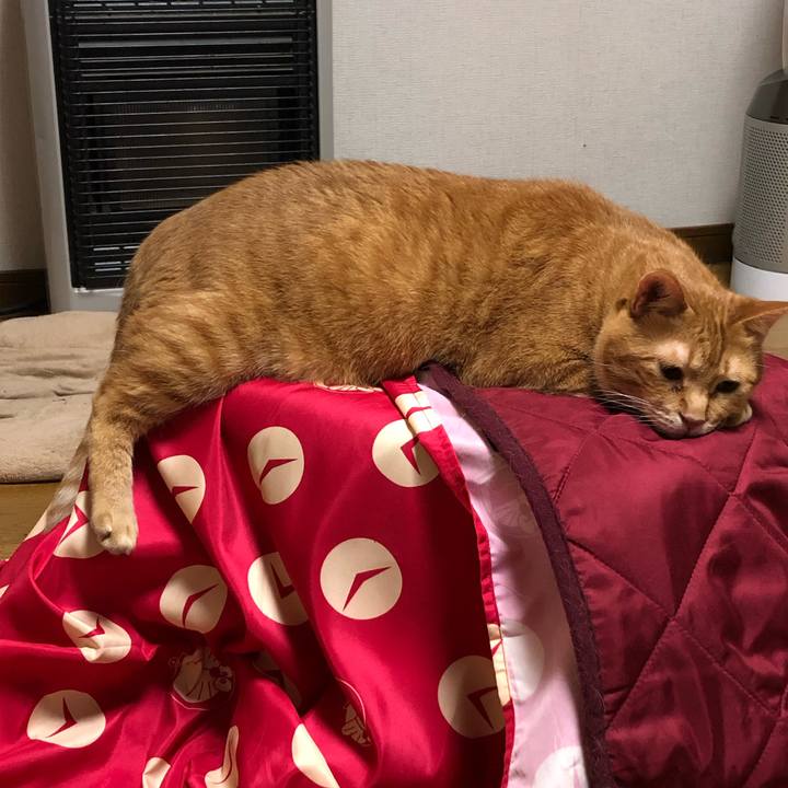 Da32ec21 569e 418e a1bf cf4bc9758113 1621515587721