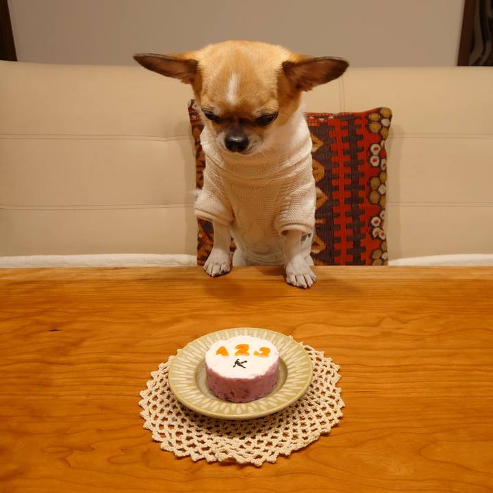 Da32ef3c f8e3 48f8 9ee1 058fe496369e 1701041203583