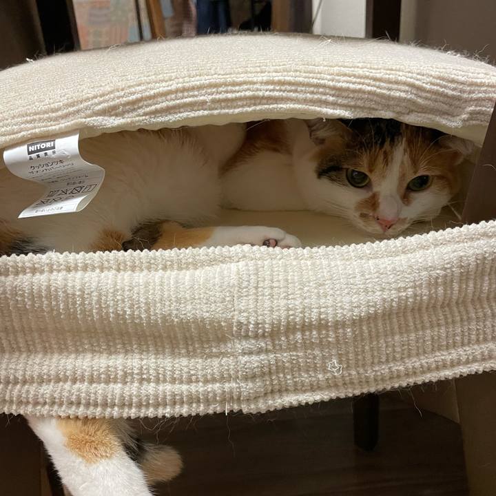 Da333221 ac65 4104 835c c4868781b5bc 1634359590257