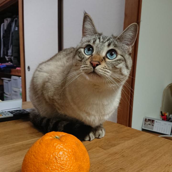 Da334357 c0ce 4ab2 b59e 86fd644d8379 1553770442523