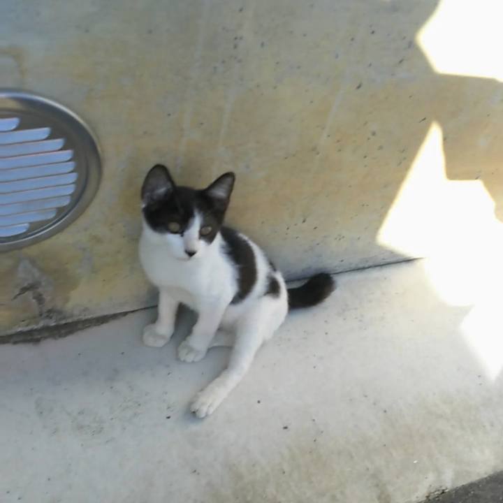 Da3362d5 c2e1 40db bdf5 f489448d8e8f 1532170528623