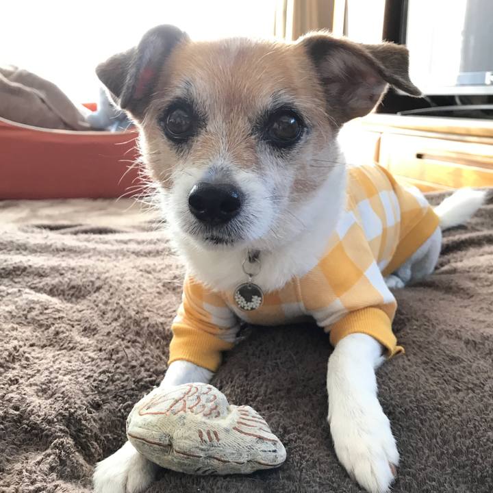 Da3364b8 00bd 4fd9 b3ba 022f7df5a005 1583906579439