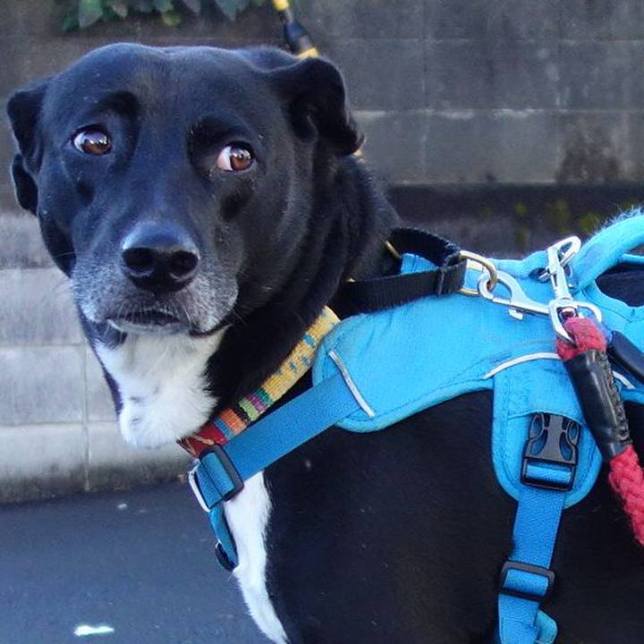 Da338546 1a36 4790 be60 d12834c3bc5b 1634692071463