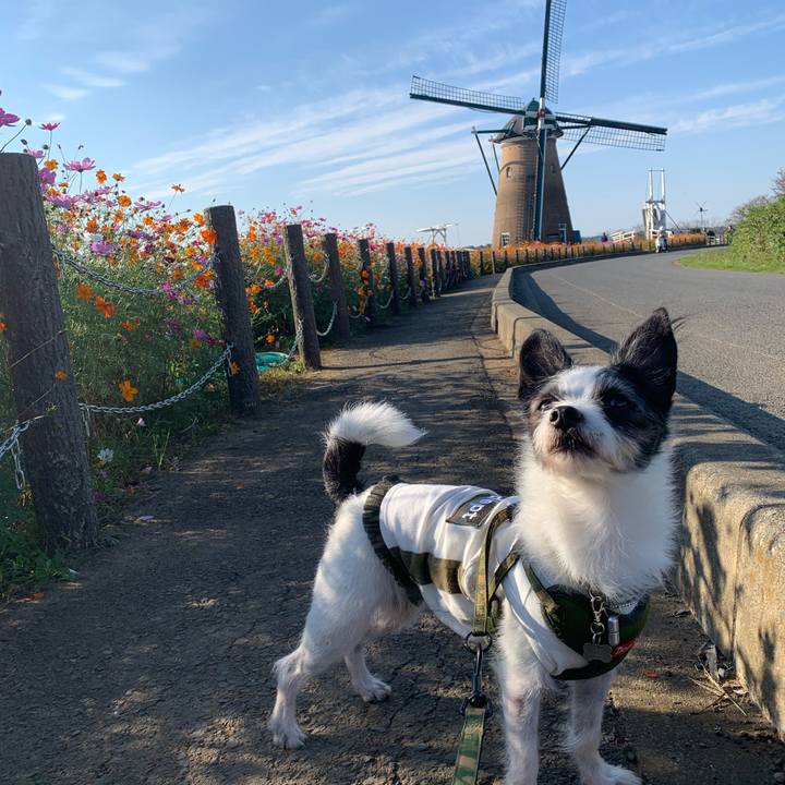 Da33e574 dca7 43fb 98c6 14cd5fb1a409 1603963366320