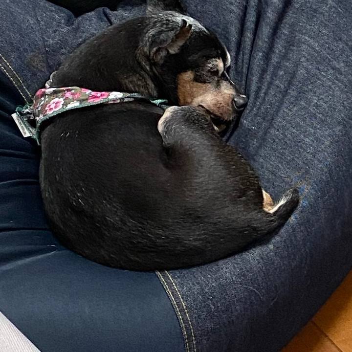 Da345d80 6ba8 4087 b13e ef61dbcde64d 1586093456916