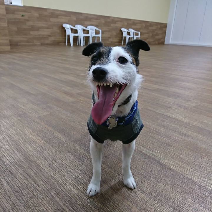 Da348681 5f20 4c53 ac8a c08322eaf101 1520497512831