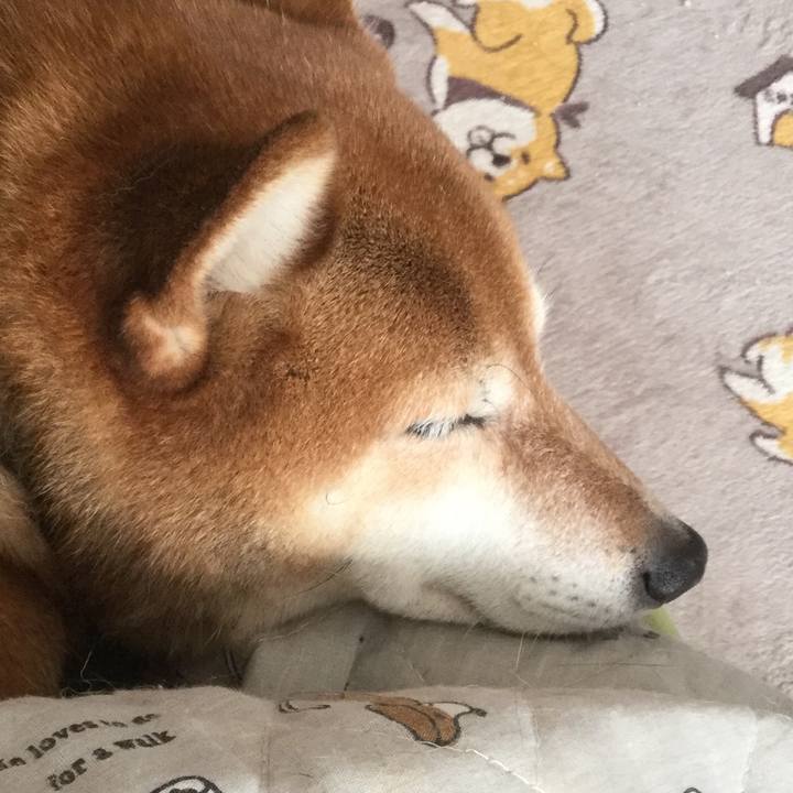 Da3495ed 6914 415f b650 340313e593bf 1610253620676