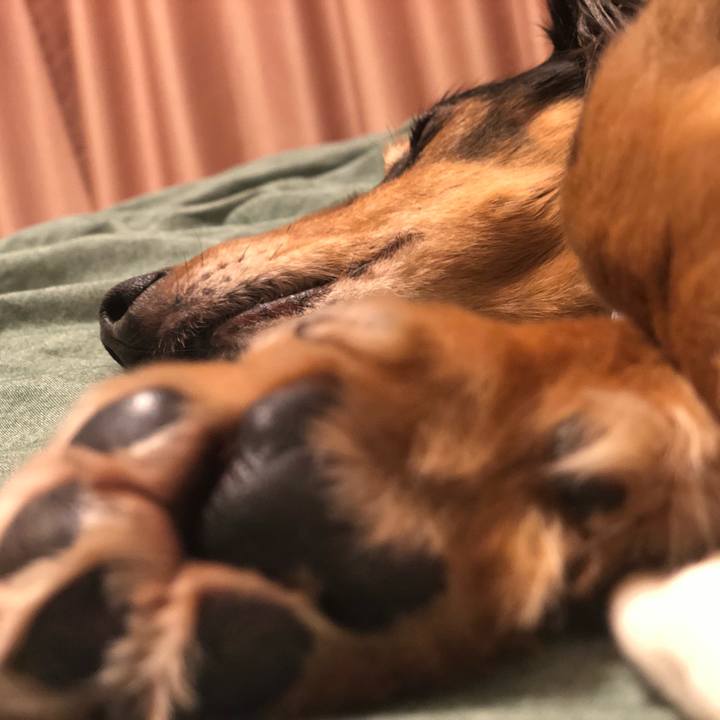 Da34bb12 89df 44b8 a401 623a28a329a5 1566391987100