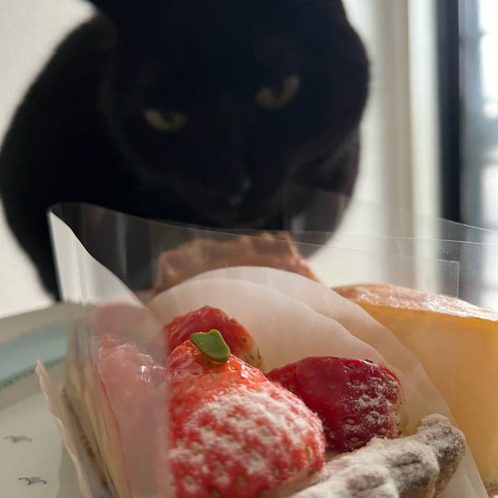 Da34c292 7cd8 428d 9a2c 45dcb6cf288c 1707288292217