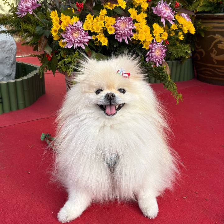 Da34cd9e 2a0d 4548 b778 07583c8c18b4 1767581725471