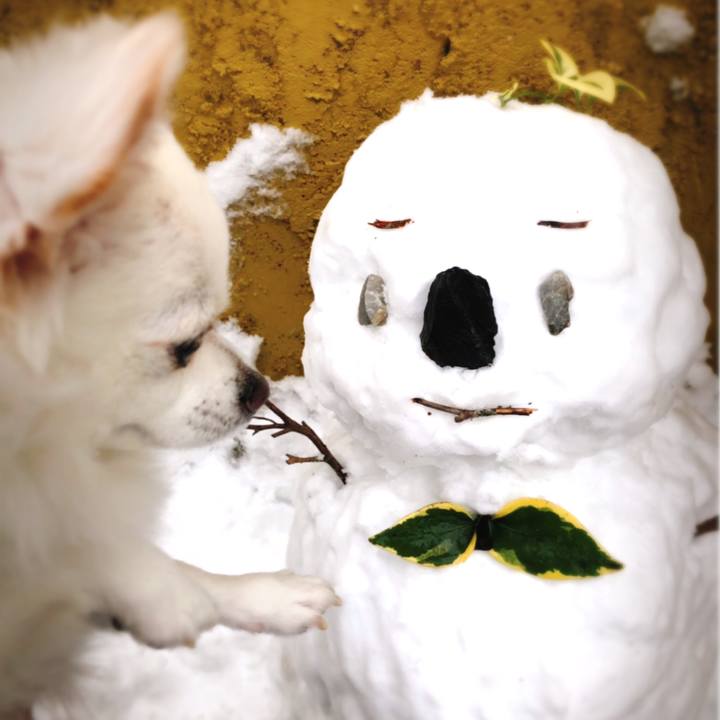 Da34d2ae ec13 4d6c 9b70 cba2eb445a55 1608007747972