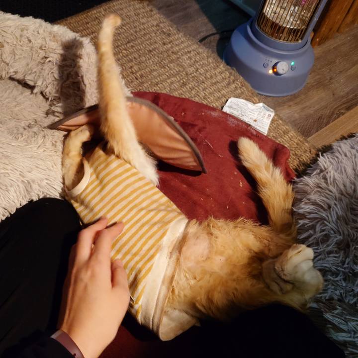 Da34fd40 8243 4ad8 affa aa49c9bc835a 1762165573640