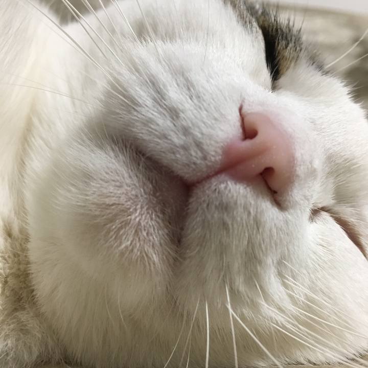 Da35201f 53ed 4505 9c68 e90908527f8f 1526741473710