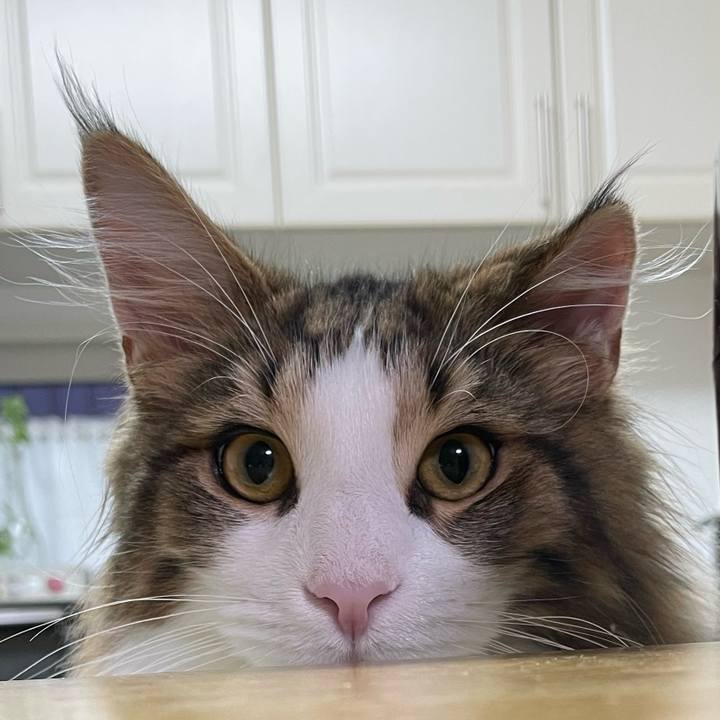 Da356dc4 f59e 4cd5 b712 13d5fb8a62a3 1640296495854