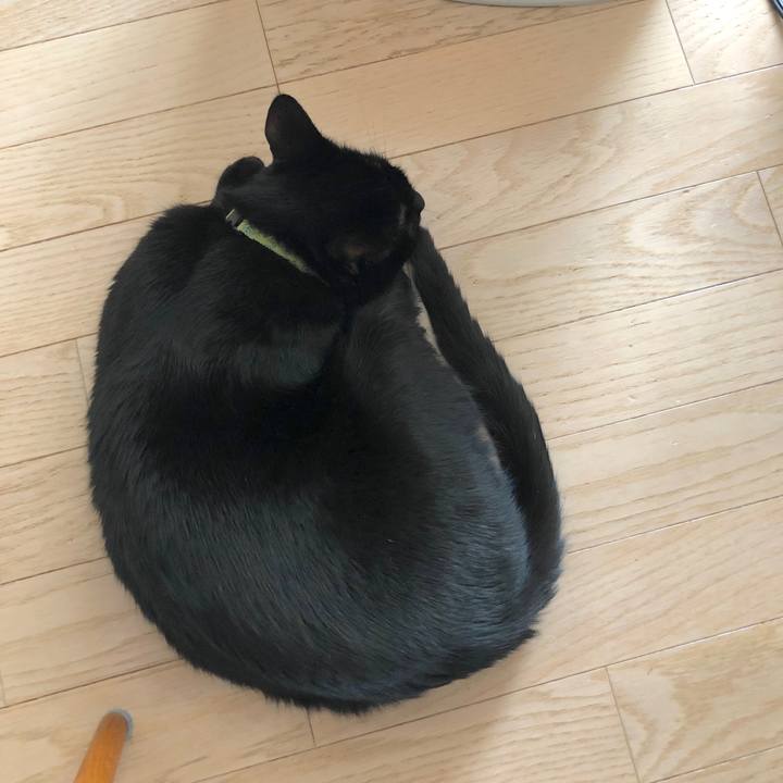 Da35765a 7a1c 4702 a42a b5840171aa26 1546919662287