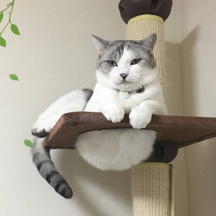 Da3579e8 c4c5 47b3 ad44 695cc73304af 1516617352111