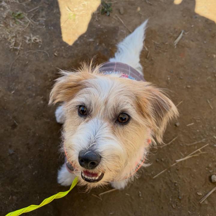 Da359d2a 5dc9 4bb2 92e3 29c0dccd8e88 1773552551702