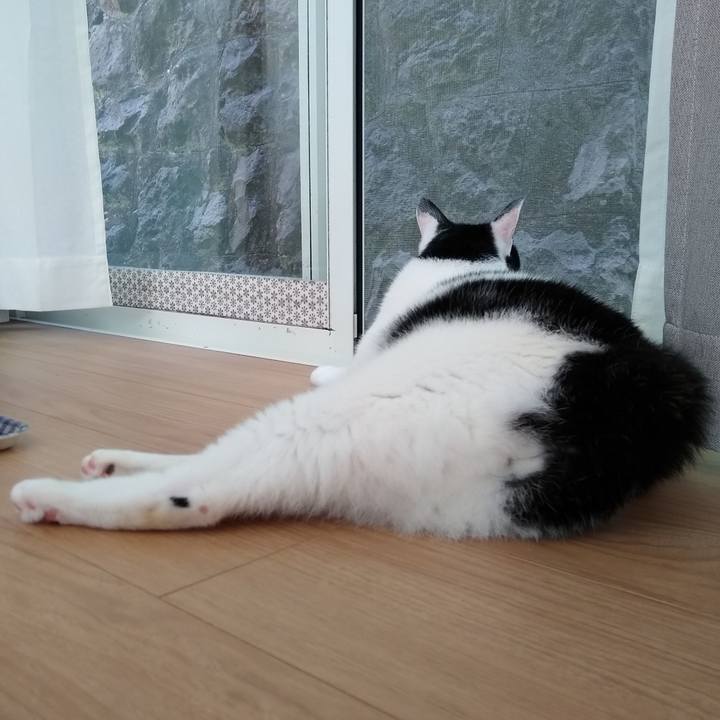 Da35a8e1 012a 4a07 957f 940f89361f9c 1565519201222