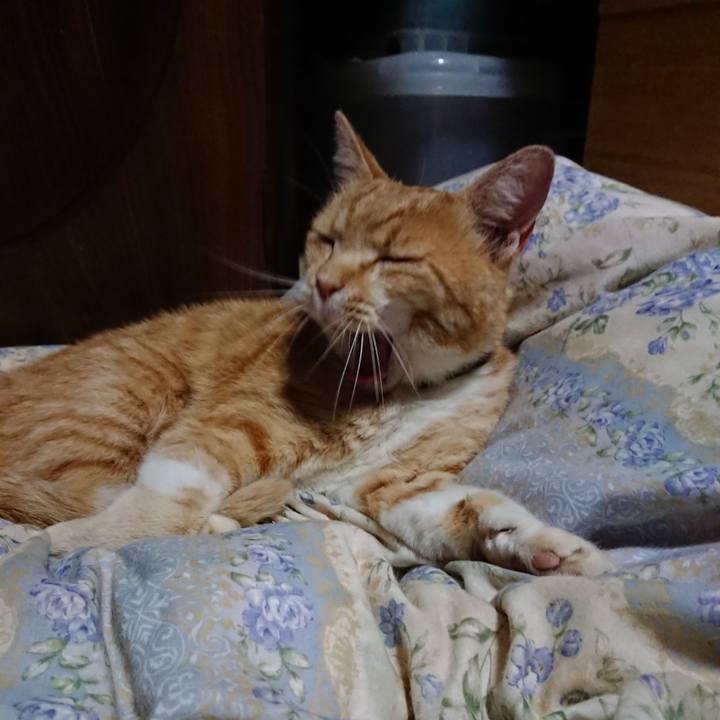 Da35b575 c1ba 4836 9898 790816b3a149 1590236061183