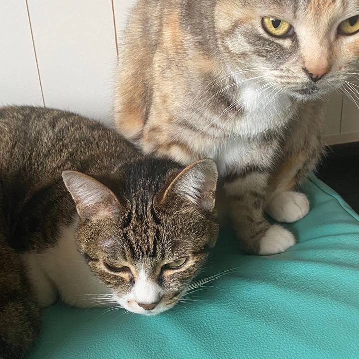 Da35f26d 63f9 4729 8662 3e3b39f78f39 1587356767629