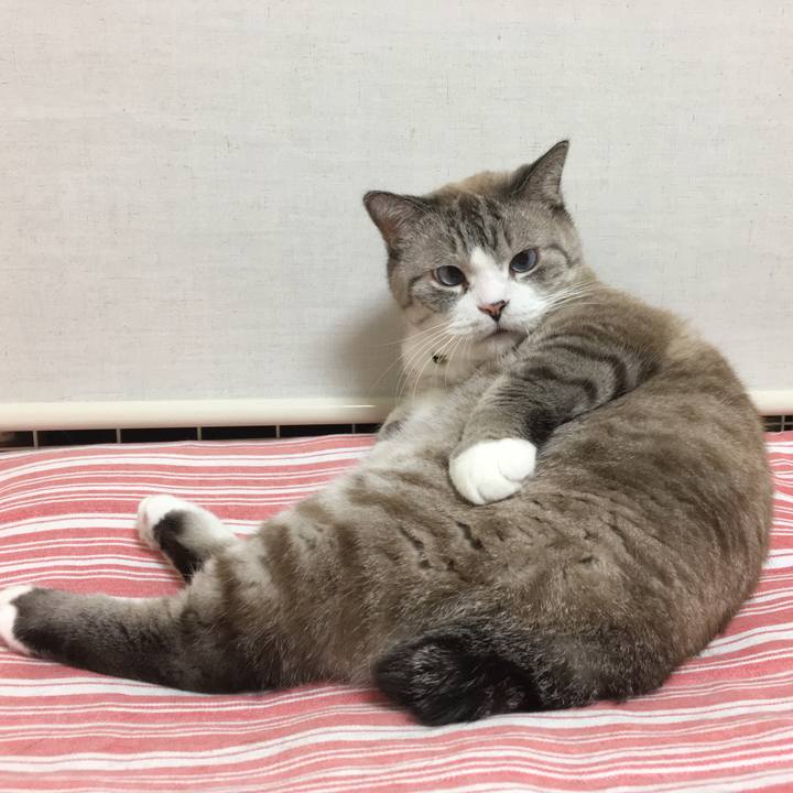 Da35fb1d 1777 4117 970b 6300a0e6f9bb 1573696584099