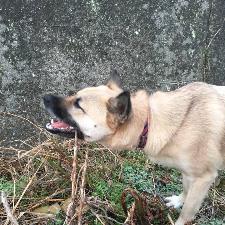 Da35fd82 1c7a 496d 84eb 136d3758bd9c 1516018547448