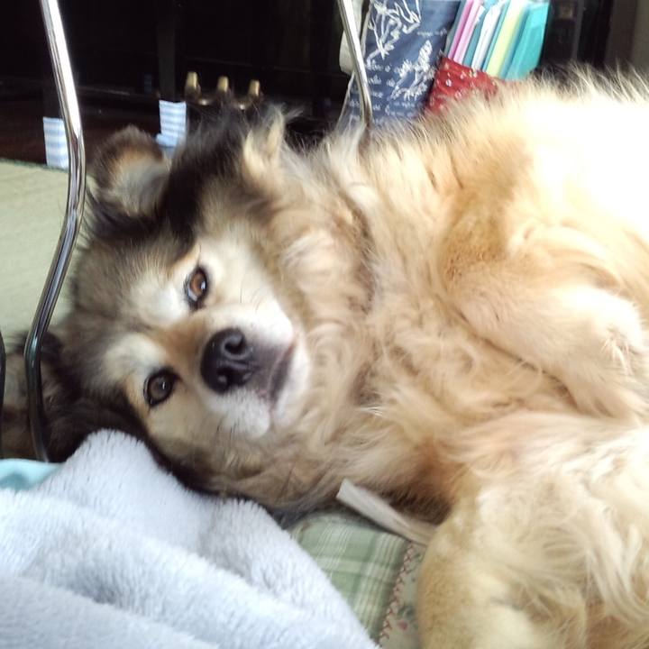 Da360514 9cdc 4561 88ee 135ca6a820c2 1555833709498