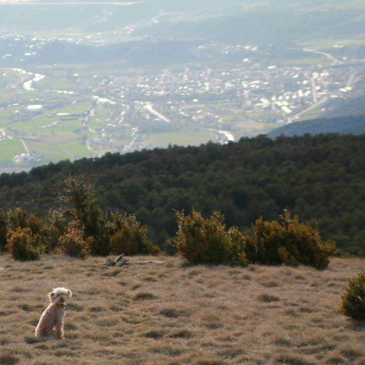 Da360f9d e25b 4318 9d11 7e01edcc5a45 1553466928837