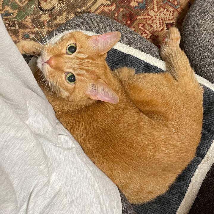 Da36130d 6f12 408b 9585 3a28bdb6bb3e 1743863274009