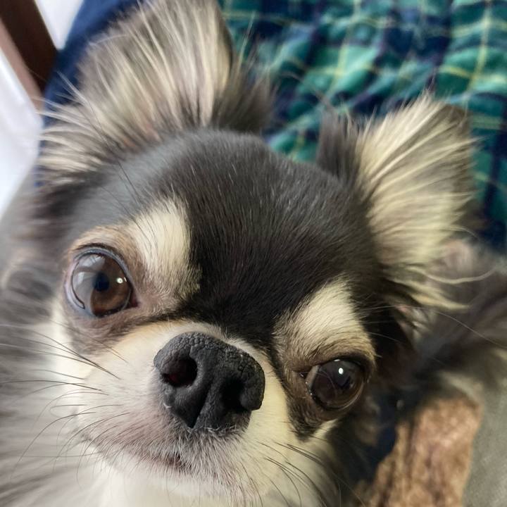 Da363bb0 9021 4afa 9a77 15a72d71e195 1644932141930