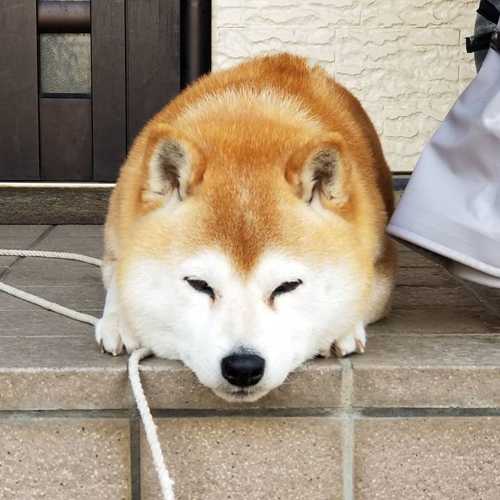 Da369fff f830 411c b3f0 5f03eb0038e2 1650584721827