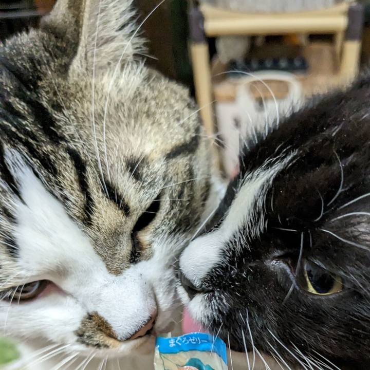 Da36a1e2 e5fd 45b9 b9f2 3b4f92e64bb9 1672925122742