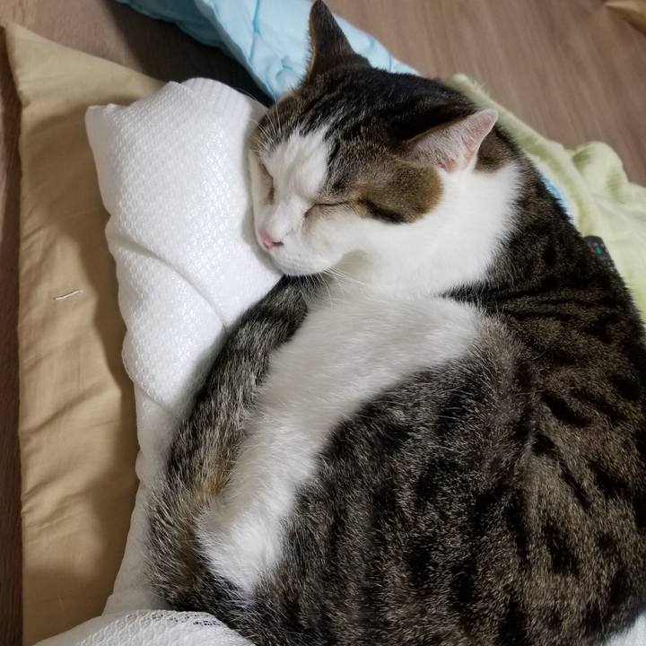 Da36ee98 9673 4221 9044 152571637d6e 1623415240303