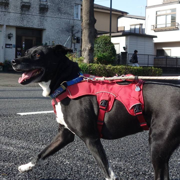 Da36fb86 4c62 403e b645 6cf2dca9541c 1679185613578