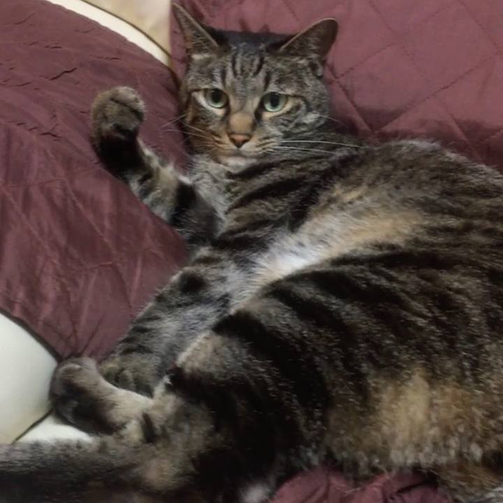 Da37362e 3402 4482 9167 de191e674e8a 1563774073142